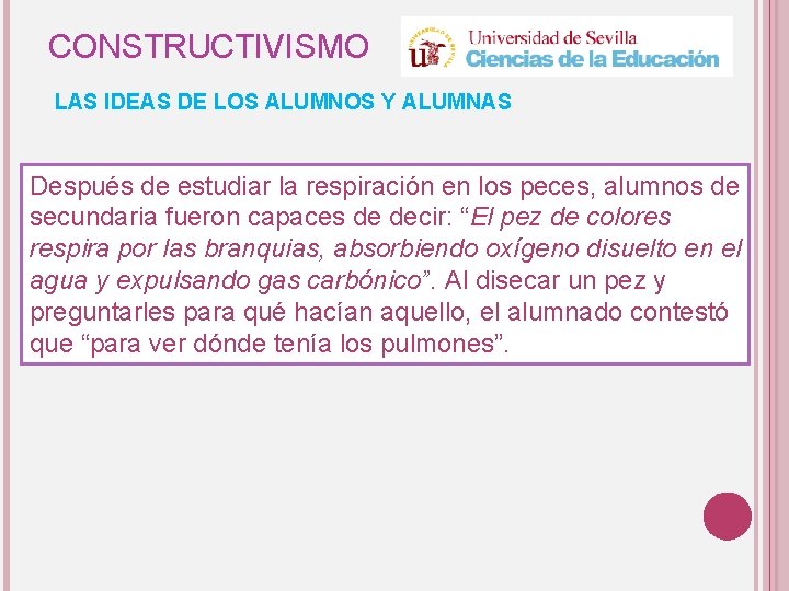 CONSTRUCTIVISMO LAS IDEAS DE LOS ALUMNOS Y ALUMNAS Después de estudiar la respiración en