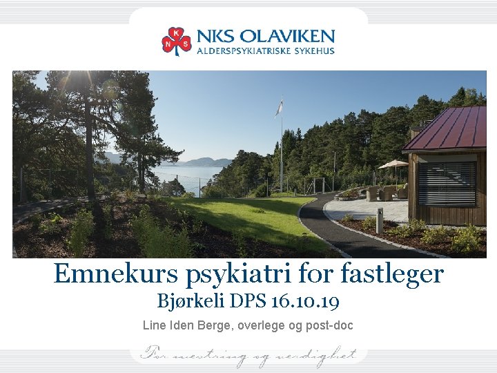 Emnekurs psykiatri for fastleger Bjørkeli DPS 16. 10. 19 Line Iden Berge, overlege og