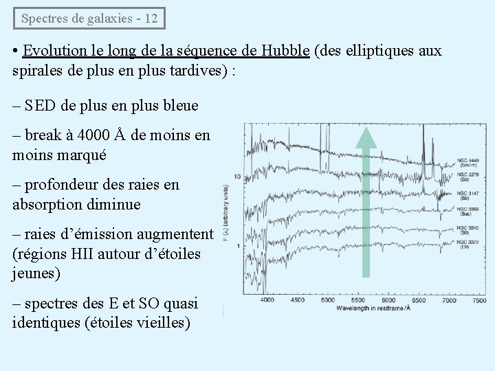  Spectres de galaxies - 12 • Evolution le long de la séquence de