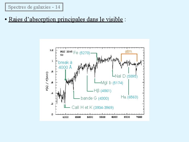  Spectres de galaxies - 14 • Raies d’absorption principales dans le visible :