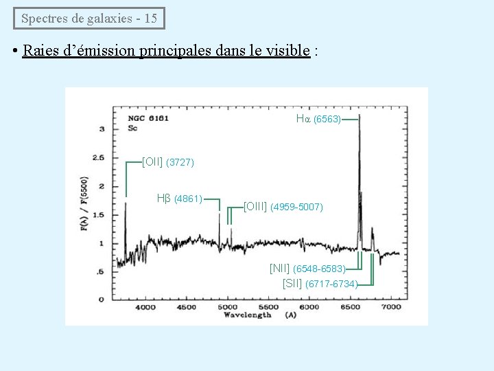  Spectres de galaxies - 15 • Raies d’émission principales dans le visible :