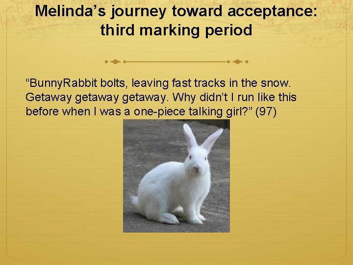 Melinda’s journey toward acceptance: third marking period “Bunny. Rabbit bolts, leaving fast tracks in