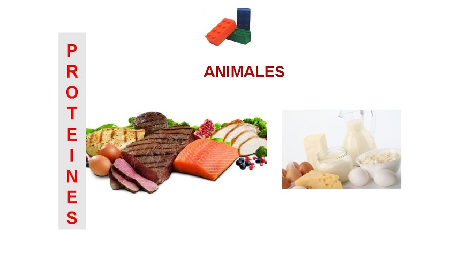 P R O T E I N E S ANIMALES 