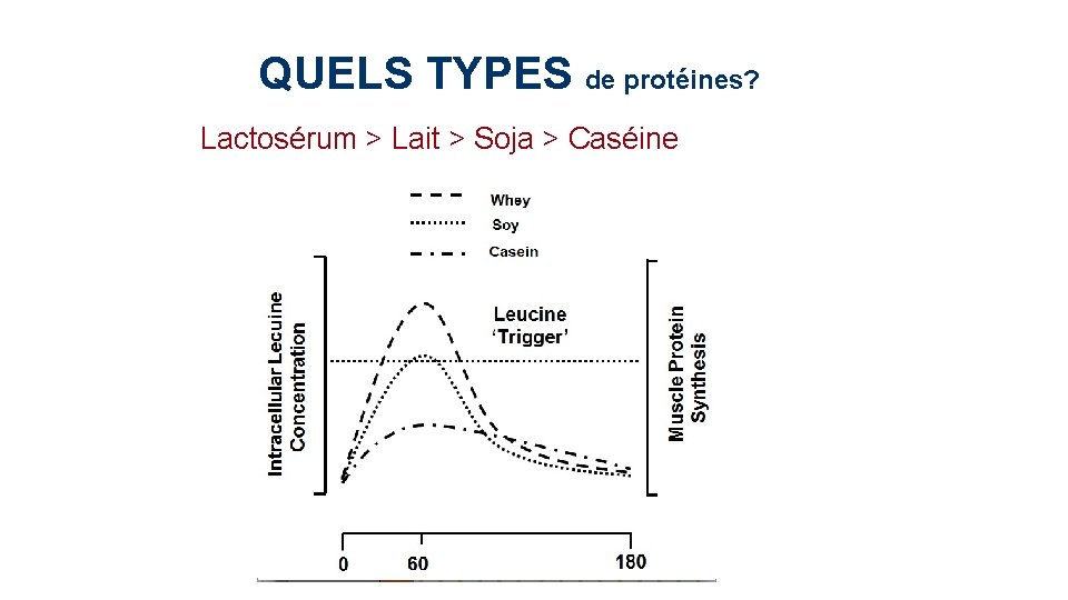 QUELS TYPES de protéines? Lactosérum > Lait > Soja > Caséine 