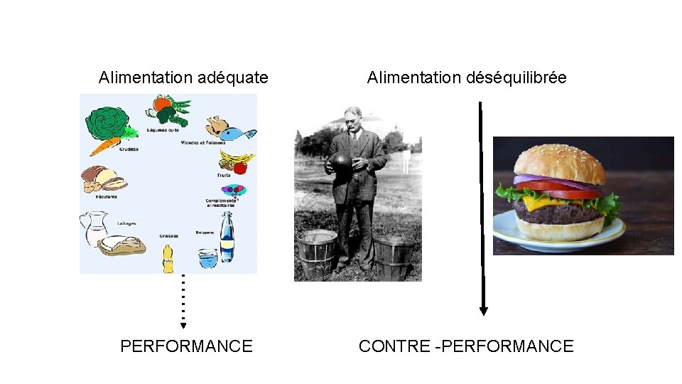 Alimentation adéquate Alimentation déséquilibrée PERFORMANCE CONTRE -PERFORMANCE 