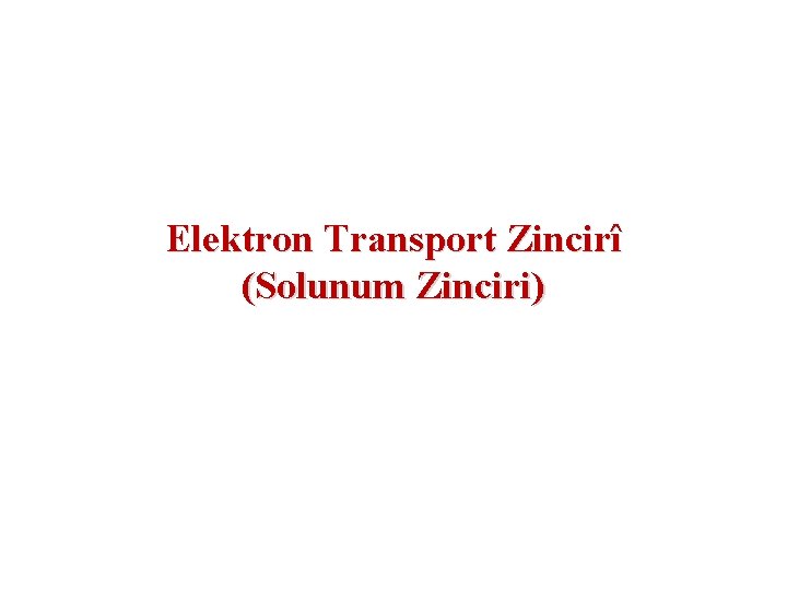 Elektron Transport Zincirî (Solunum Zinciri) 