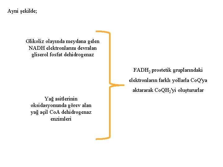 Ayni şekilde; Glikoliz olayında meydana gelen NADH elektronlarını devralan gliserol fosfat dehidrogenaz FADH 2