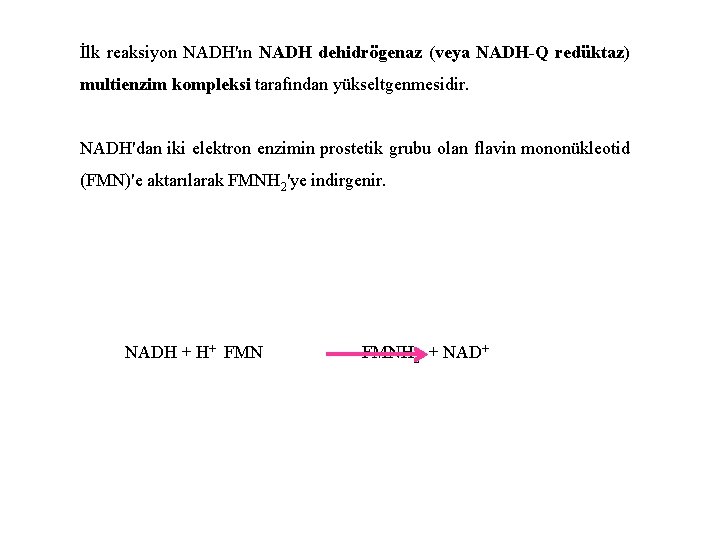 İlk reaksiyon NADH'ın NADH dehidrögenaz (veya NADH-Q redüktaz) multienzim kompleksi tarafından yükseltgenmesidir. NADH'dan iki