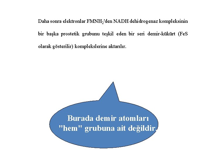 Daha sonra elektronlar FMNH 2'den NADH dehidrogenaz kompleksinin bir başka prostetik grubunu teşkil eden