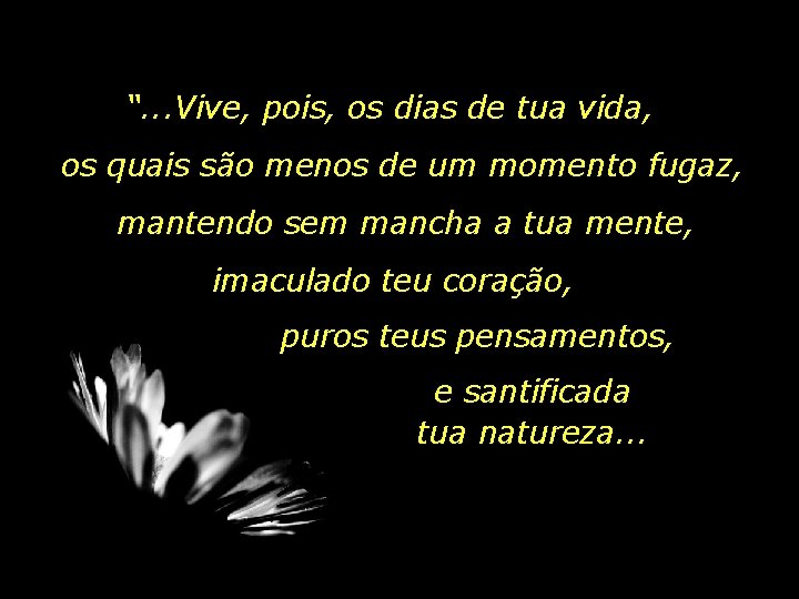 “. . . Vive, pois, os dias de tua vida, os quais são menos