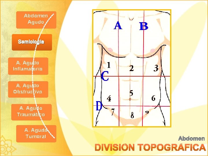 Abdomen Agudo Semiología A. Agudo Inflamatorio A. Agudo Obstructivo A. Agudo Traumático A. Agudo
