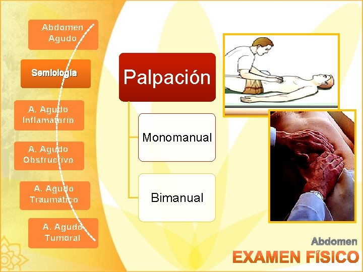 Abdomen Agudo Semiología Palpación A. Agudo Inflamatorio A. Agudo Obstructivo A. Agudo Traumático A.