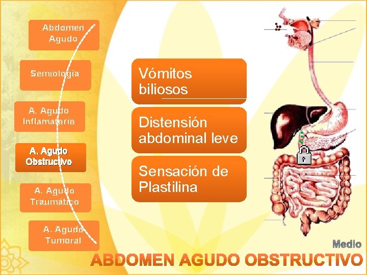 Abdomen Agudo Semiología A. Agudo Inflamatorio A. Agudo Obstructivo A. Agudo Traumático A. Agudo