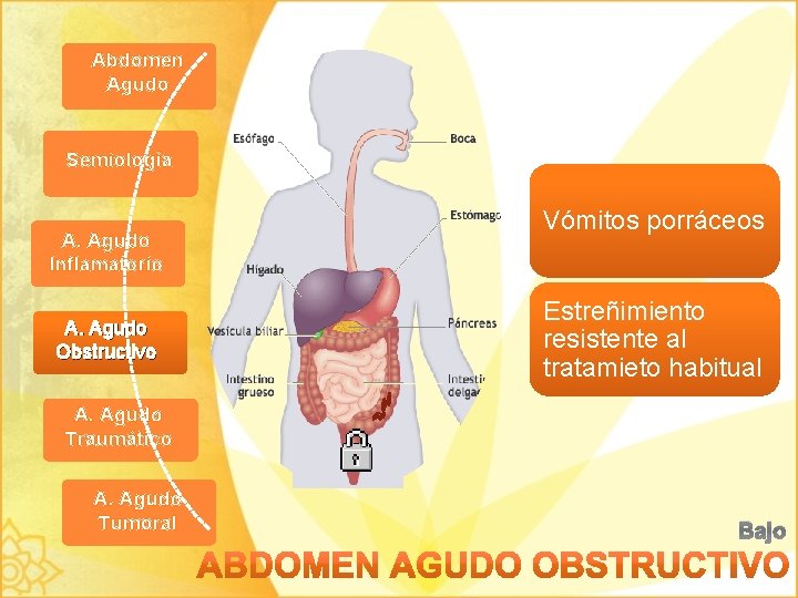 Abdomen Agudo Semiología A. Agudo Inflamatorio A. Agudo Obstructivo Vómitos porráceos Estreñimiento resistente al