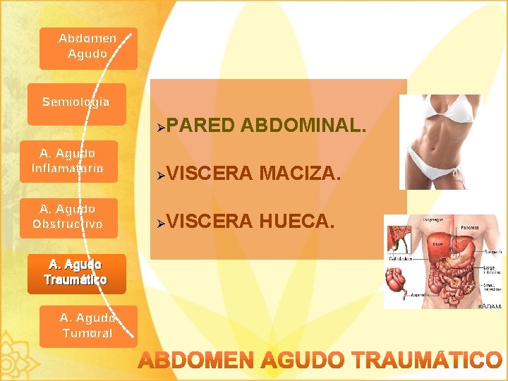 Abdomen Agudo Semiología A. Agudo Inflamatorio A. Agudo Obstructivo A. Agudo Traumático A. Agudo