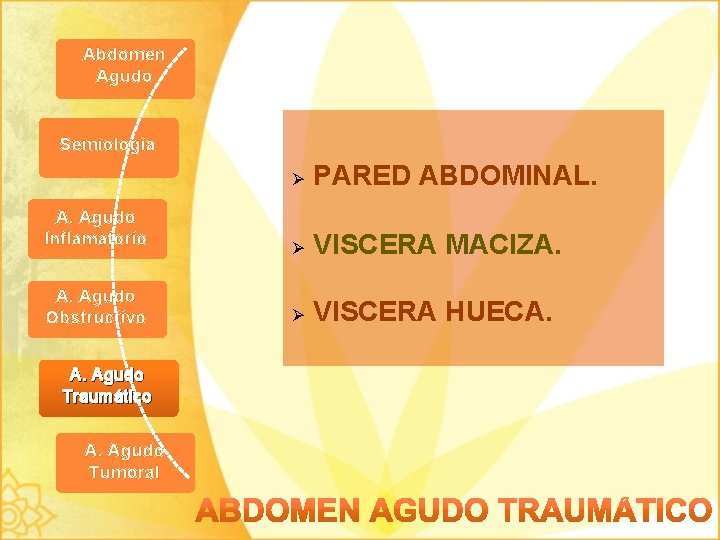 Abdomen Agudo Semiología Ø PARED ABDOMINAL. A. Agudo Inflamatorio Ø VISCERA MACIZA. A. Agudo