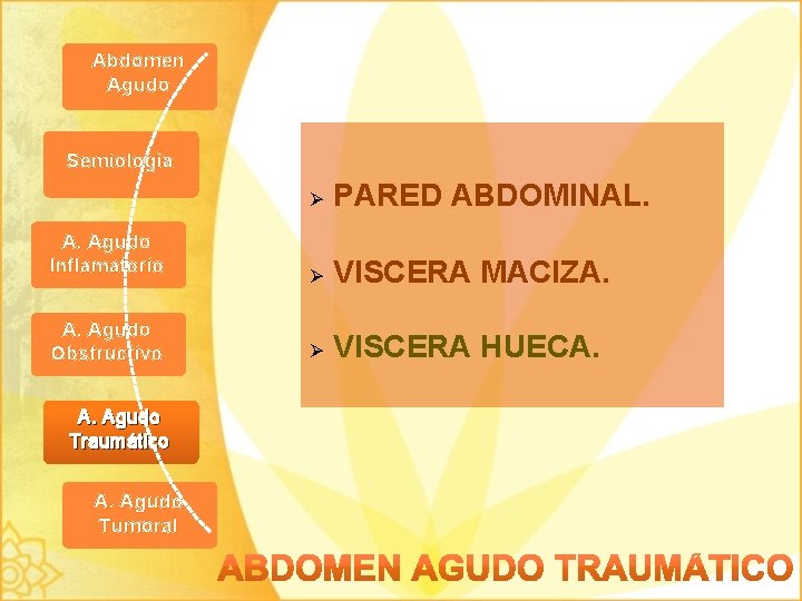 Abdomen Agudo Semiología Ø PARED ABDOMINAL. A. Agudo Inflamatorio Ø VISCERA MACIZA. A. Agudo