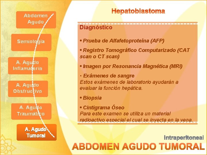 Abdomen Agudo Semiología Diagnóstico • Prueba de Alfafetoproteína (AFP) • Registro Tomográfico Computarizado (CAT