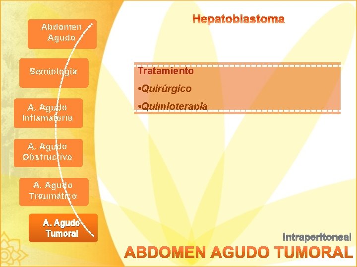 Abdomen Agudo Semiología Tratamiento • Quirúrgico A. Agudo Inflamatorio • Quimioterapia A. Agudo Obstructivo