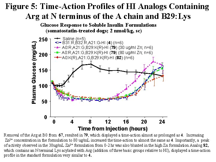 Figure 5: Time-Action Profiles of HI Analogs Containing Arg at N terminus of the