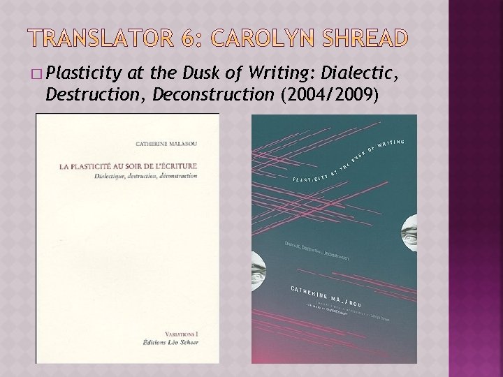 � Plasticity at the Dusk of Writing: Dialectic, Destruction, Deconstruction (2004/2009) 