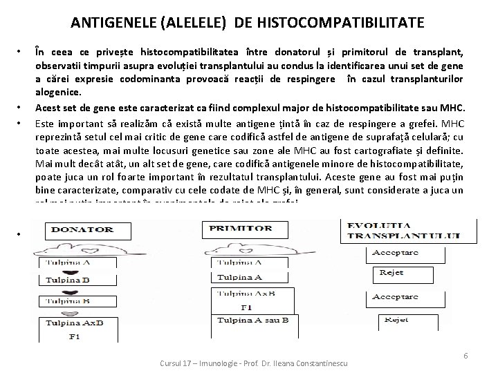 ANTIGENELE (ALELELE) DE HISTOCOMPATIBILITATE • • În ceea ce privește histocompatibilitatea între donatorul și