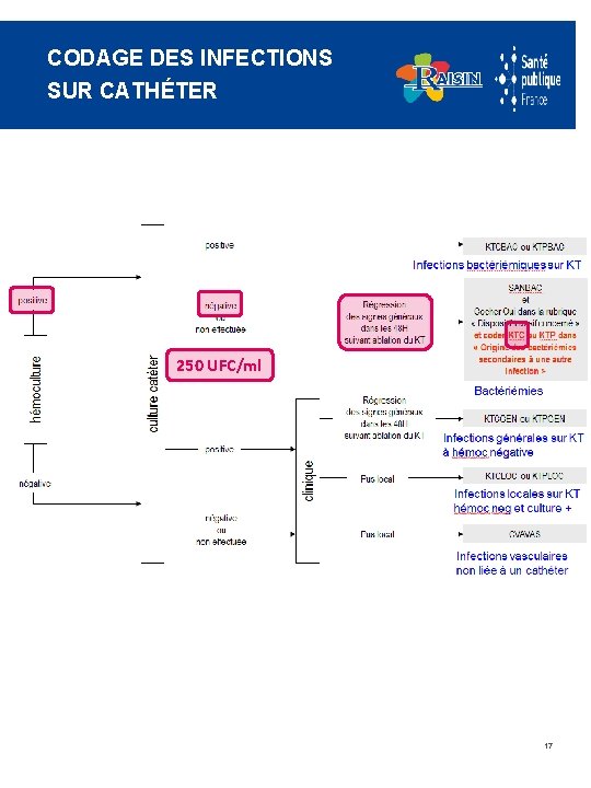 CODAGE DES INFECTIONS SUR CATHÉTER 250 UFC/ml 17 