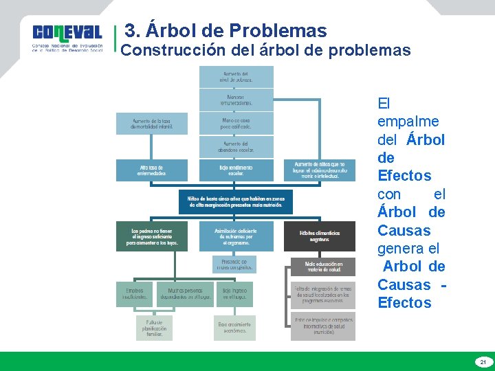 3. Árbol de Problemas Construcción del árbol de problemas El empalme del Árbol de