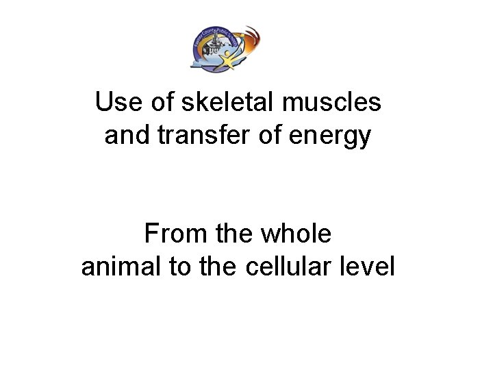 Use of skeletal muscles and transfer of energy From the whole animal to the
