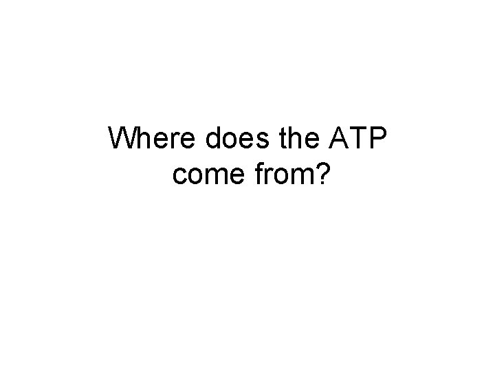 Where does the ATP come from? 