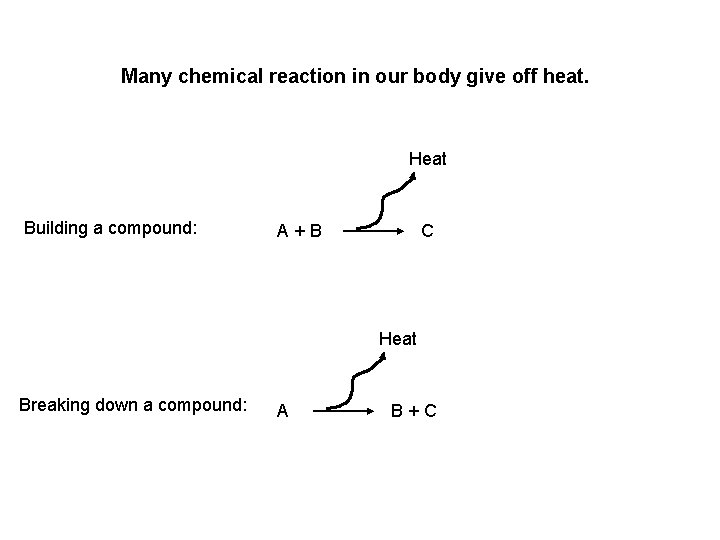 Many chemical reaction in our body give off heat. Heat Building a compound: A+B