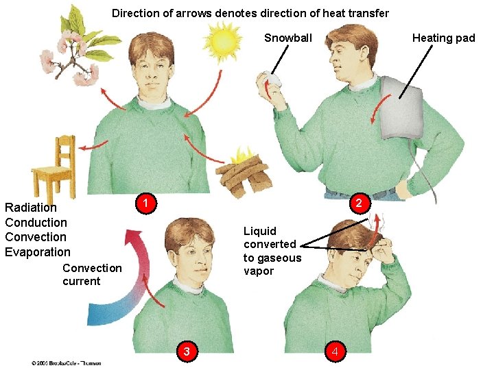 Direction of arrows denotes direction of heat transfer Snowball Radiation Conduction Convection Evaporation Heating