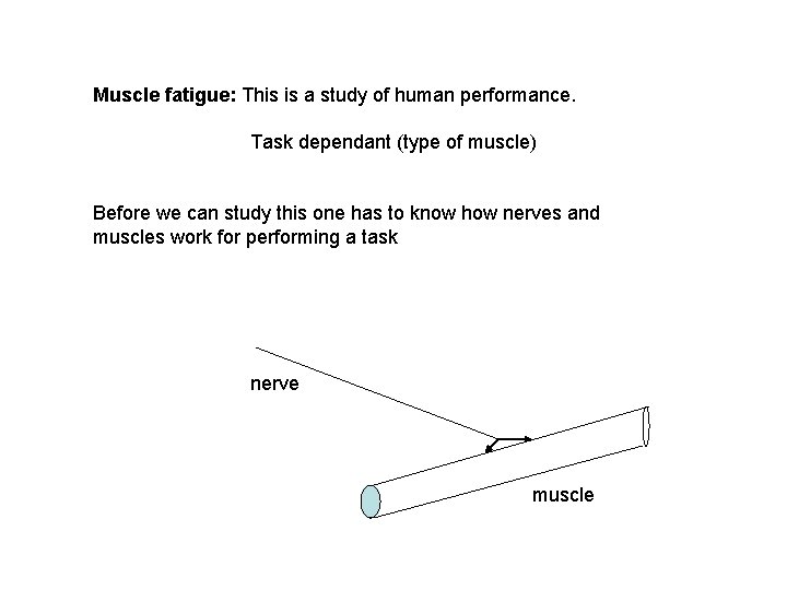 Muscle fatigue: This is a study of human performance. Task dependant (type of muscle)