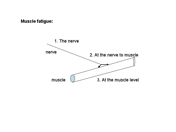 Muscle fatigue: 1. The nerve muscle 2. At the nerve to muscle 3. At