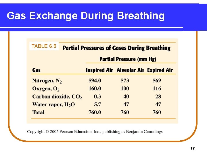 Gas Exchange During Breathing TABLE 6. 5 17 