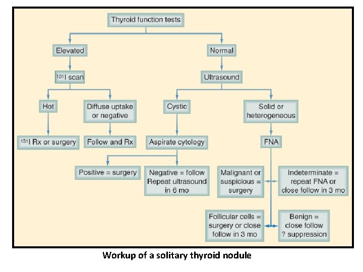 Workup of a solitary thyroid nodule 