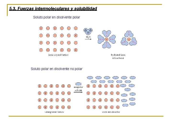 5. 3. Fuerzas intermoleculares y solubilidad Soluto polar en disolvente polar Soluto polar en