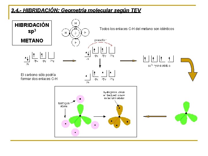 3. 4. - HIBRIDACIÓN: Geometría molecular según TEV HIBRIDACIÓN sp 3 METANO El carbono