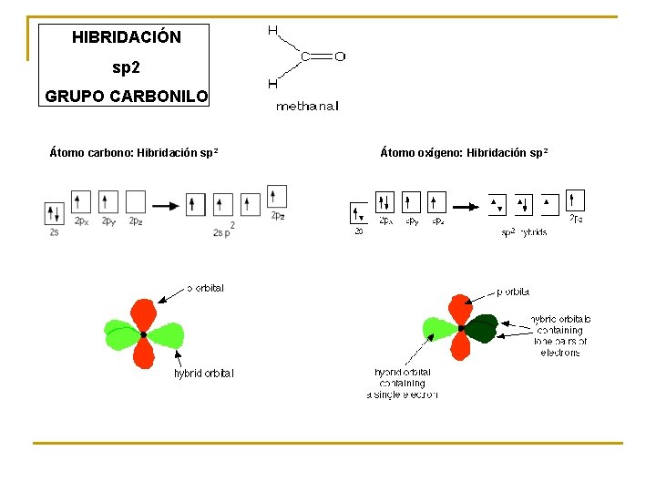 HIBRIDACIÓN sp 2 GRUPO CARBONILO Átomo carbono: Hibridación sp 2 Átomo oxígeno: Hibridación sp