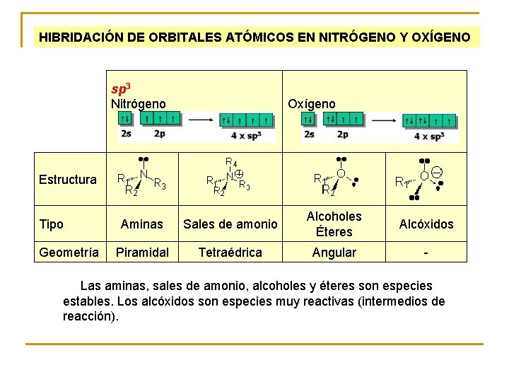 HIBRIDACIÓN DE ORBITALES ATÓMICOS EN NITRÓGENO Y OXÍGENO sp 3 Nitrógeno Oxígeno Estructura Tipo