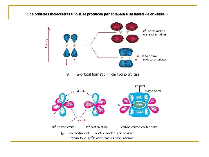 Los orbitales moleculares tipo π se producen por solapamiento lateral de orbitales p 