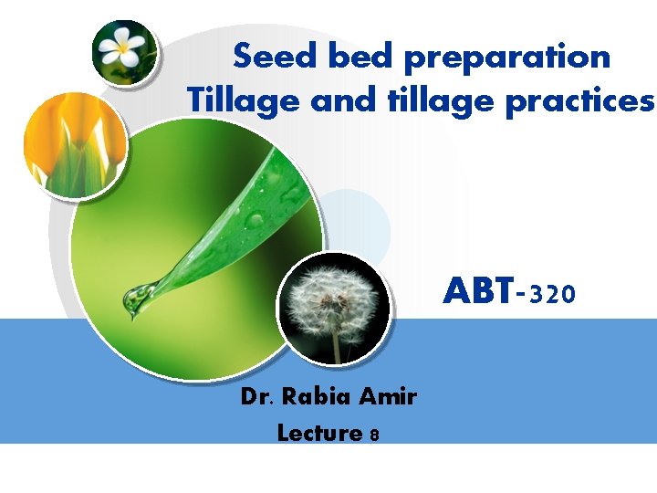 Seed bed preparation Tillage and tillage practices ABT-320 Dr. Rabia Amir Lecture 8 LOGO