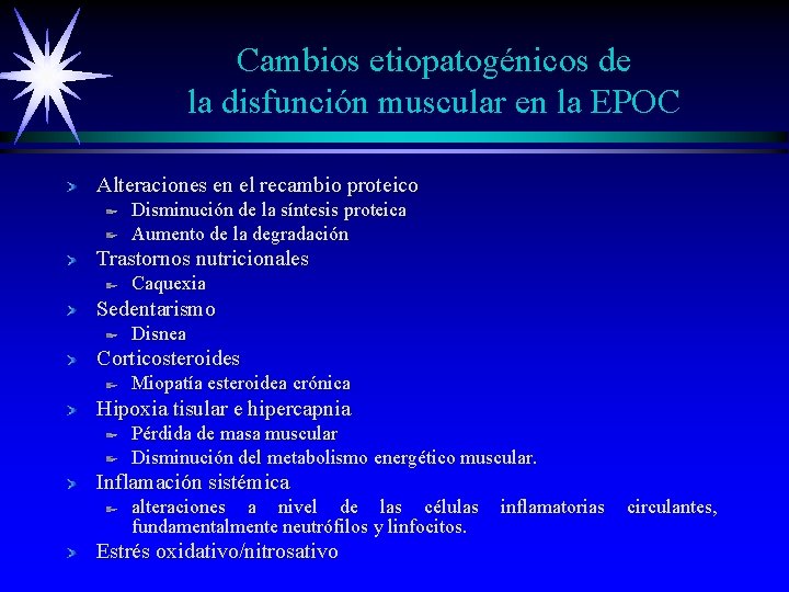 Cambios etiopatogénicos de la disfunción muscular en la EPOC Alteraciones en el recambio proteico