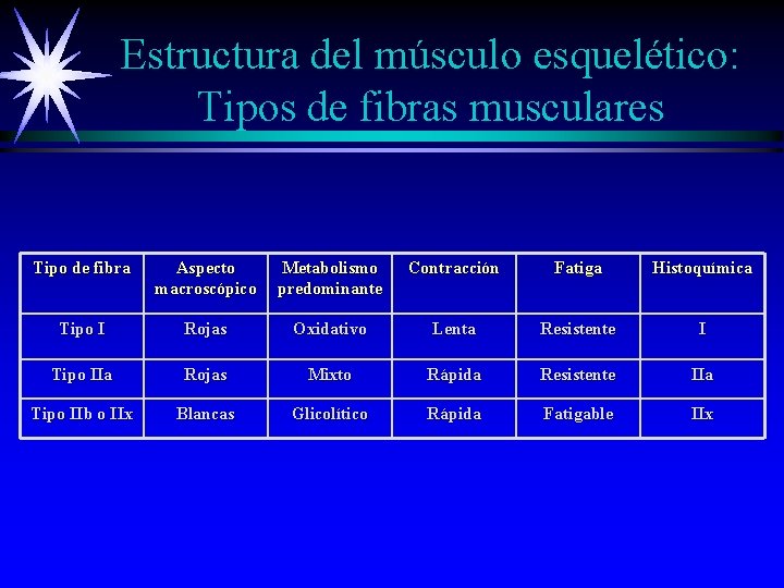 Estructura del músculo esquelético: Tipos de fibras musculares Tipo de fibra Aspecto macroscópico Metabolismo