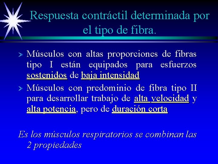 Respuesta contráctil determinada por el tipo de fibra. Músculos con altas proporciones de fibras