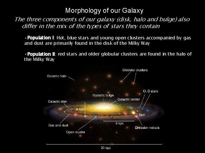 Morphology of our Galaxy The three components of our galaxy (disk, halo and bulge)