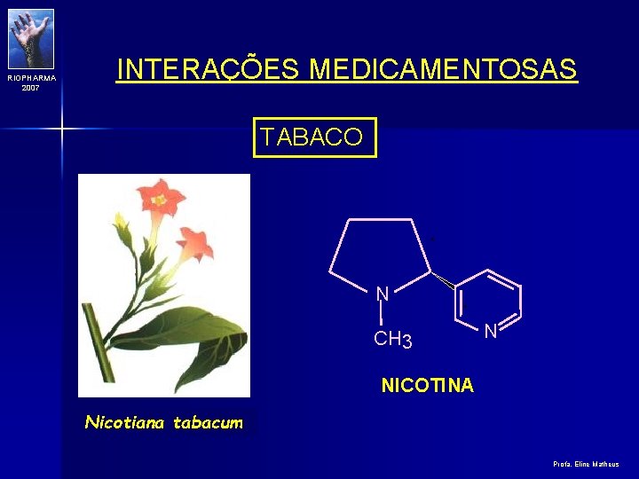 RIOPHARMA 2007 INTERAÇÕES MEDICAMENTOSAS TABACO N CH 3 N NICOTINA Nicotiana tabacum Profa. Eline