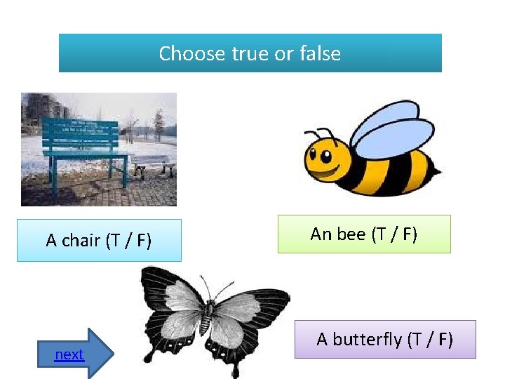 Choose true or false A chair (T / F) next An bee (T /