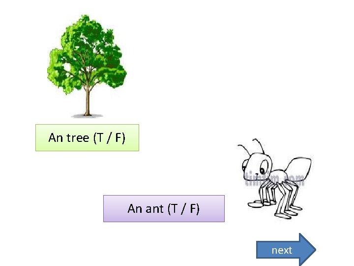 An tree (T / F) An ant (T / F) next 