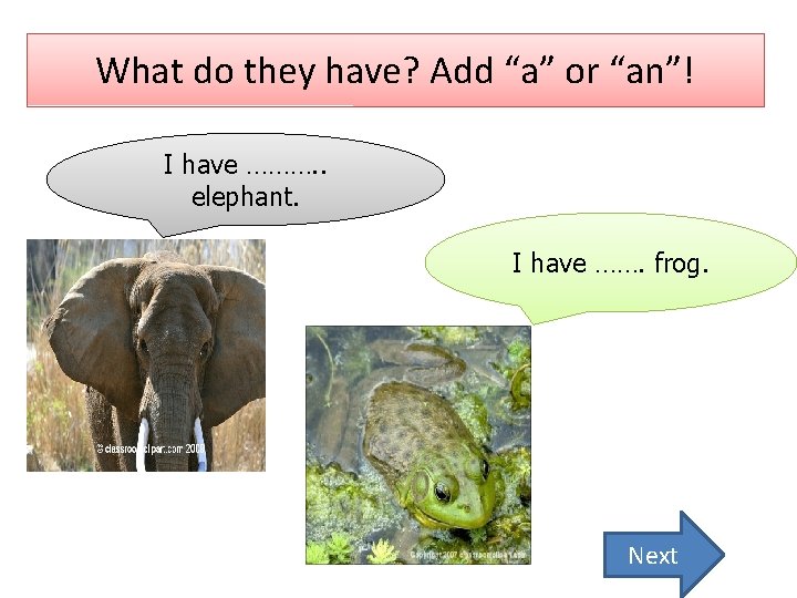 What do they have? Add “a” or “an”! I have ………. . elephant. I